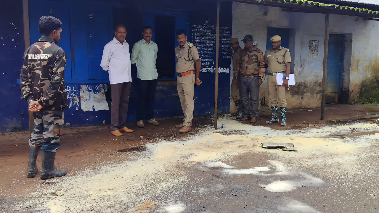 Wayanad Elephant Wayanad Elephant