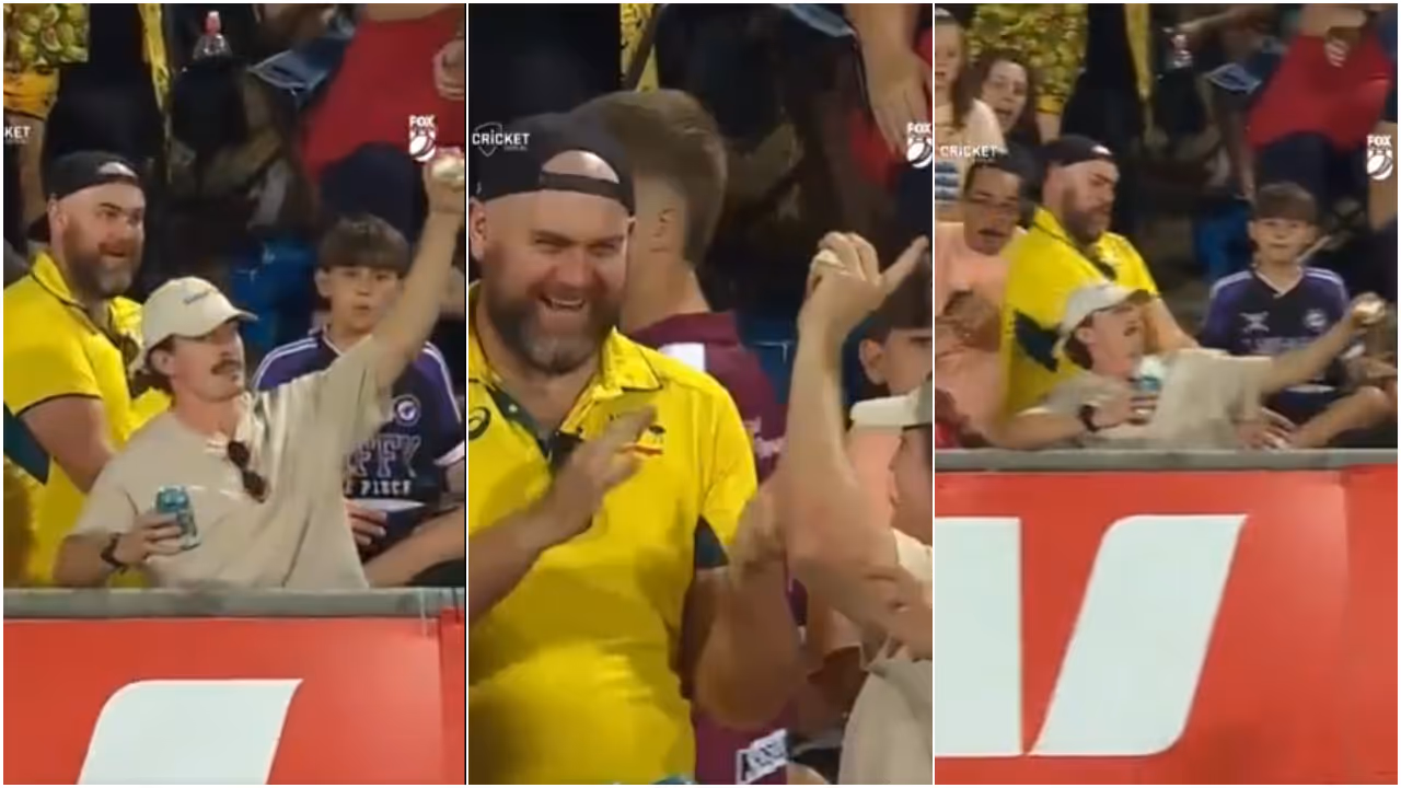 Cricket Fan Catch Cricket Fan Catch
