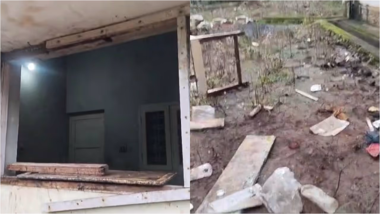 Wild Elephant attack