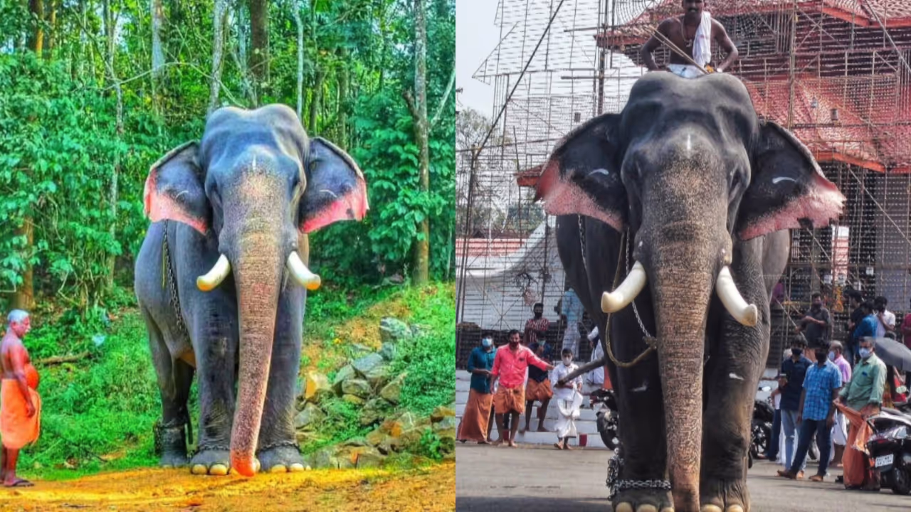 Erattupetta Ayyappan Erattupetta Ayyappan