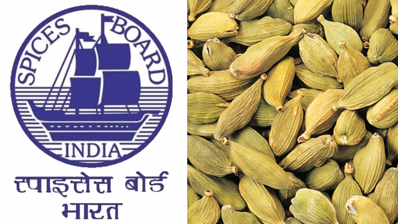 Spices board Spices board