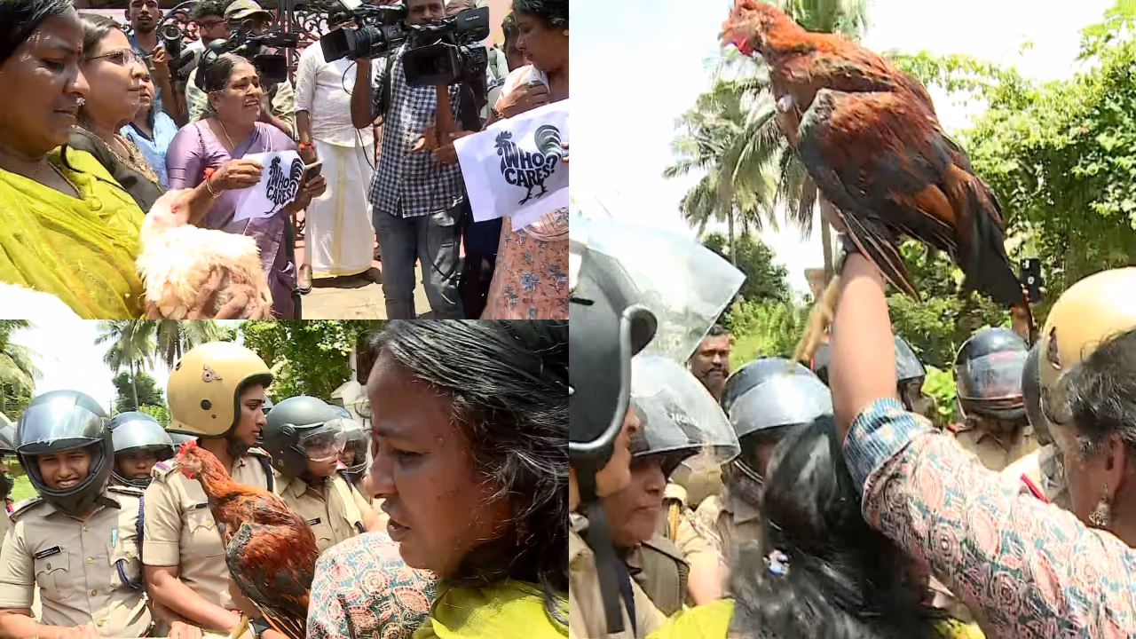 Rahul Mamkootathil protest Rahul Mamkootathil protest