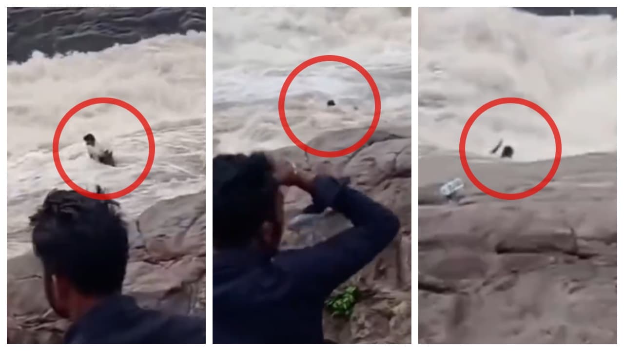 Man Swept Away While Filming Reels At Duduma Waterfall