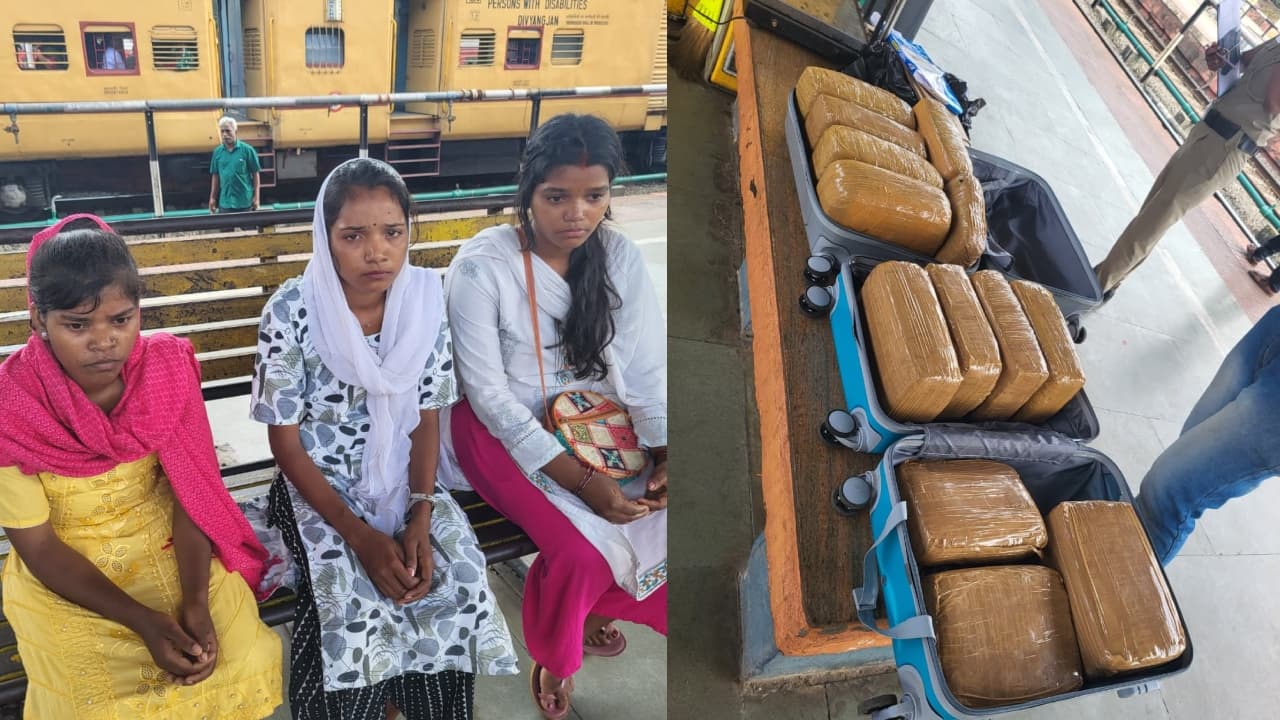 ganja arrest ganja arrest