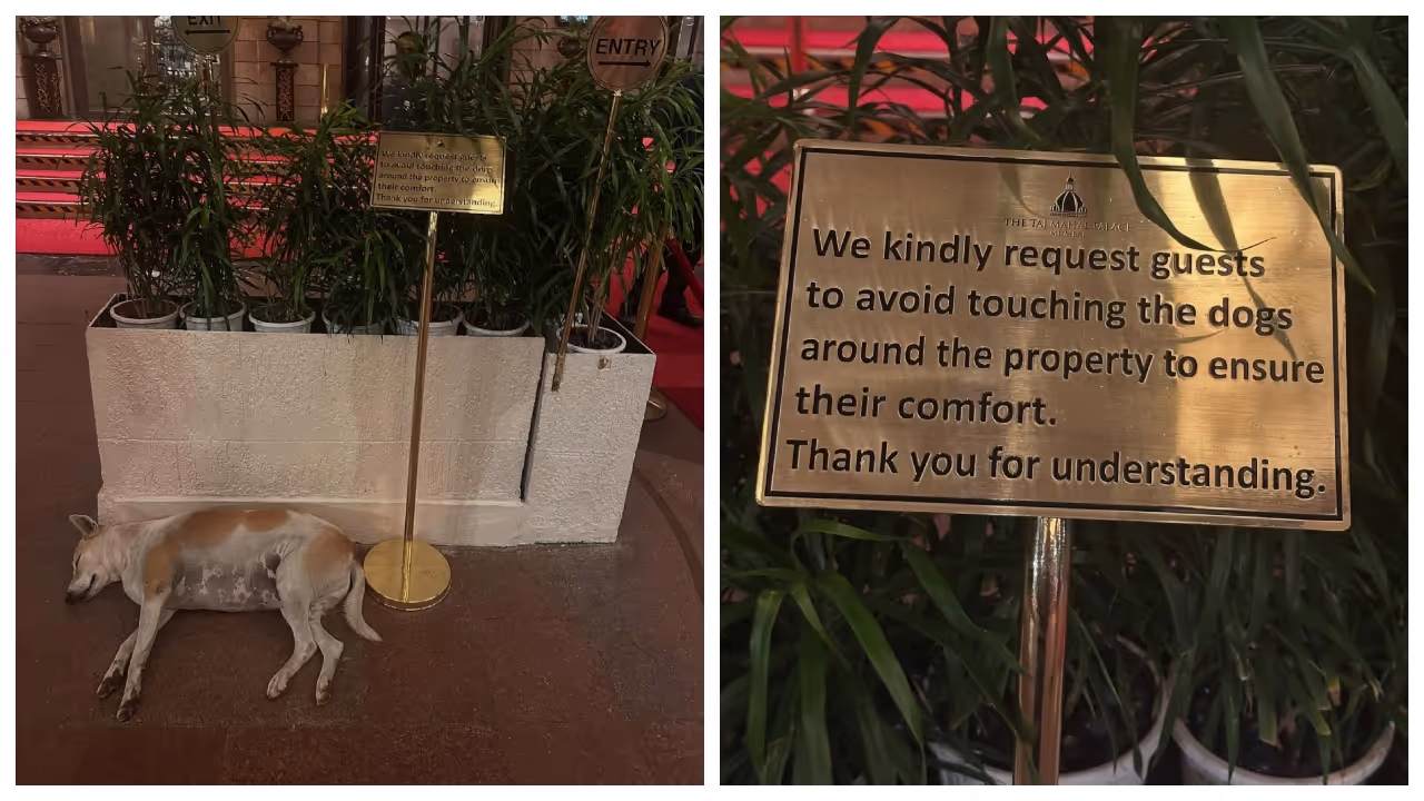 notice discussed again in front of the Taj Hotel notice discussed again in front of the Taj Hotel