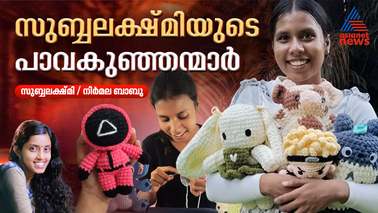 Subbulakshmi crochet toys 