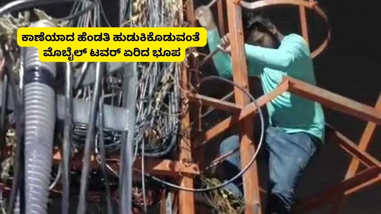 Bengaluru Wife Missing Husband Climb Mobile Tower