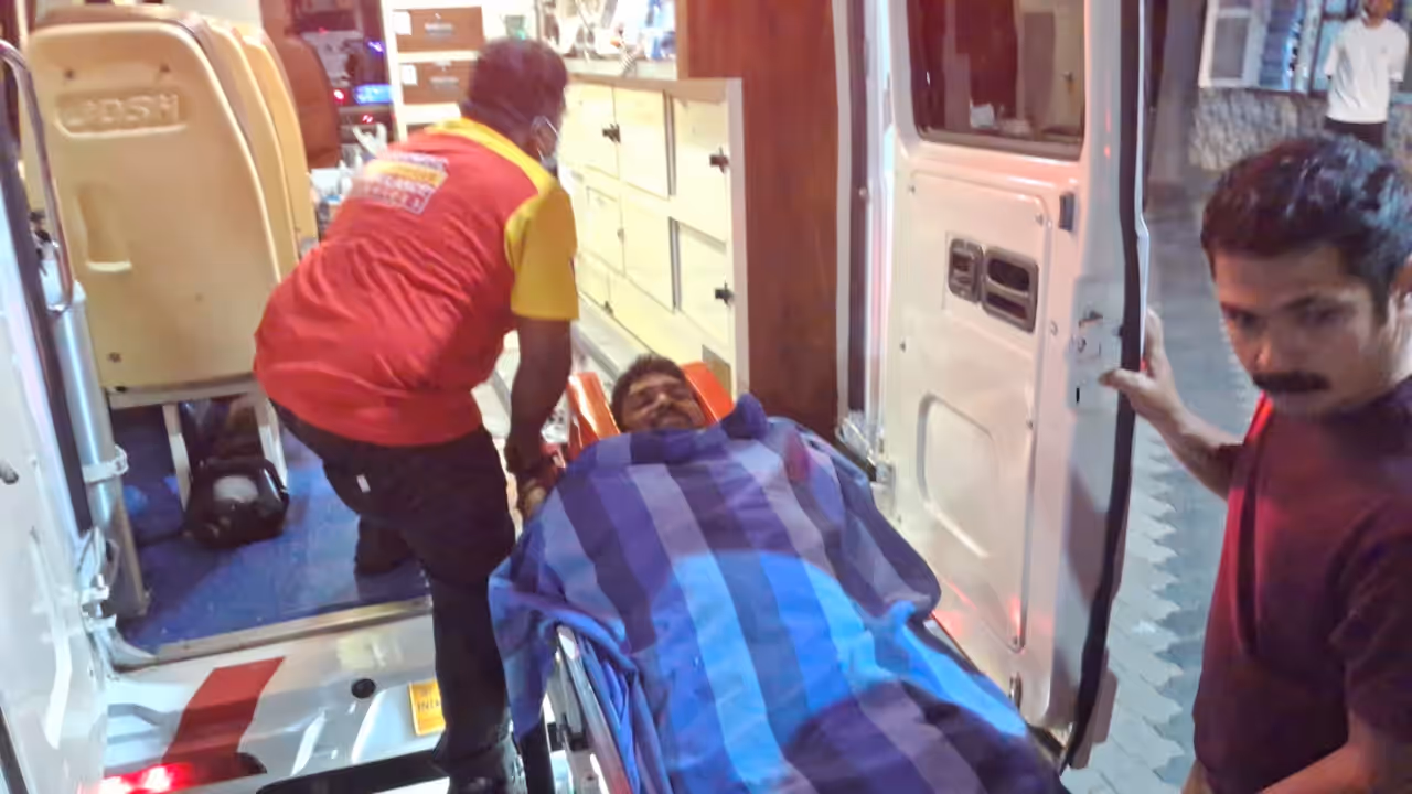 Elephant attack Elephant attack