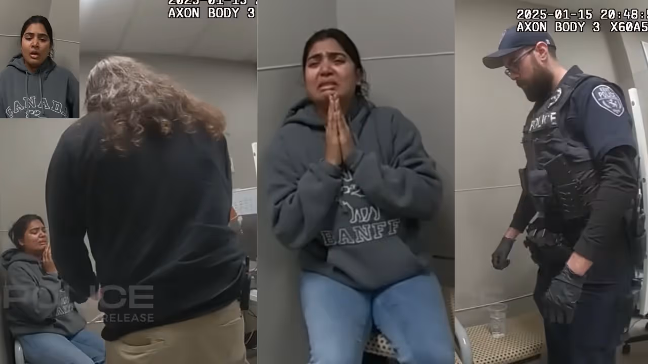 Gujarat Lady stolen in America