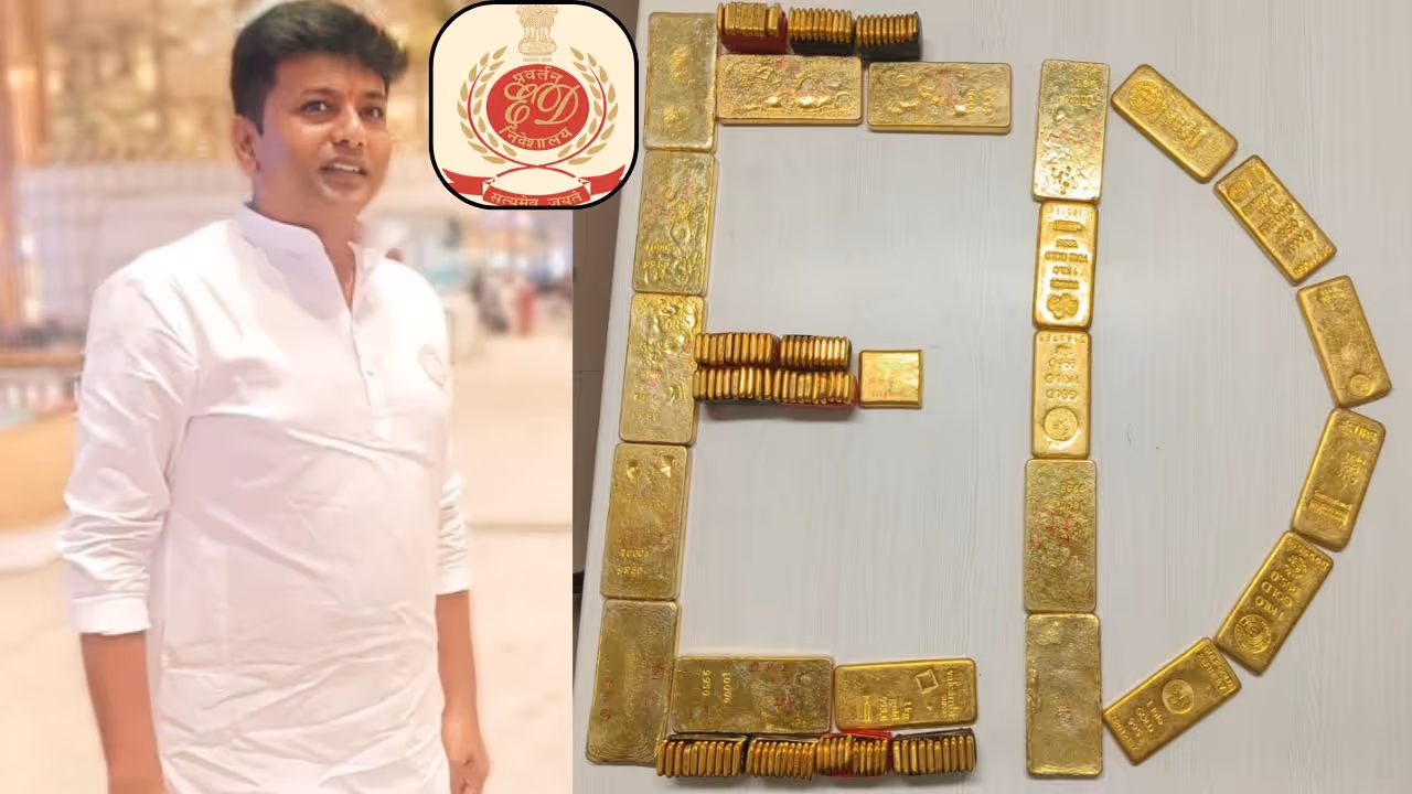 KC Veerendra Puppy Gold Seize