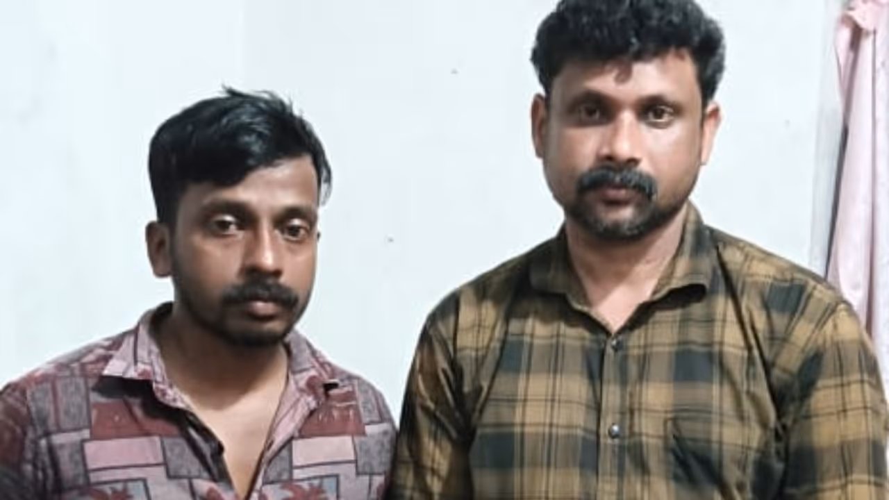 snake arrest snake arrest