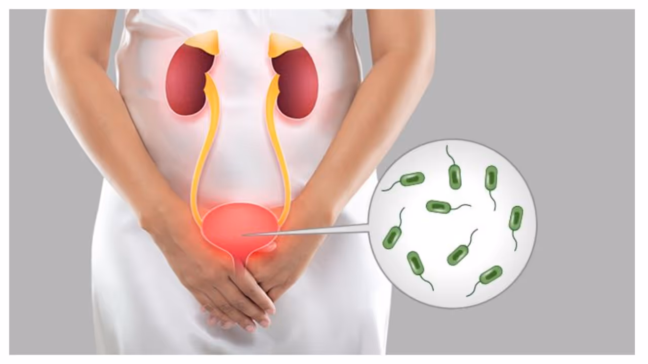 urinary infection urinary infection