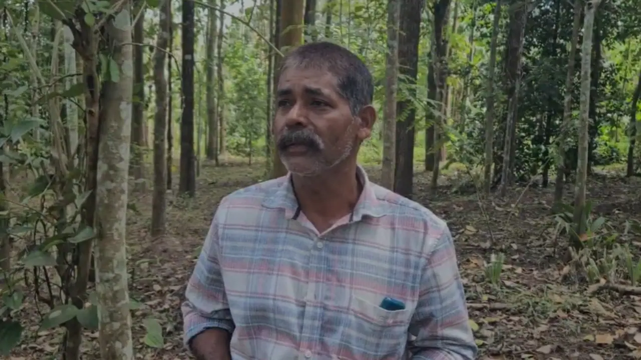 Jose Death Jose Death