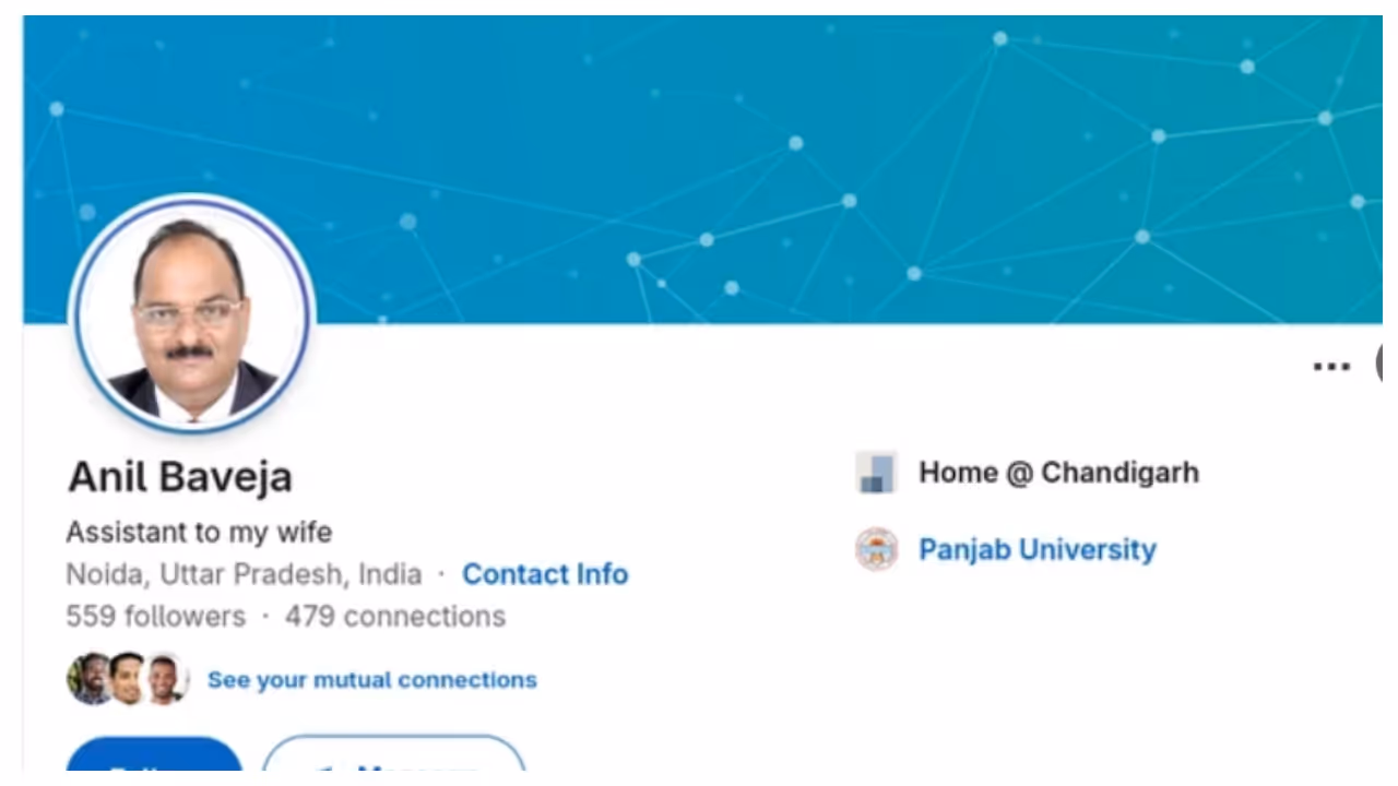 anil's LinkedIn profile