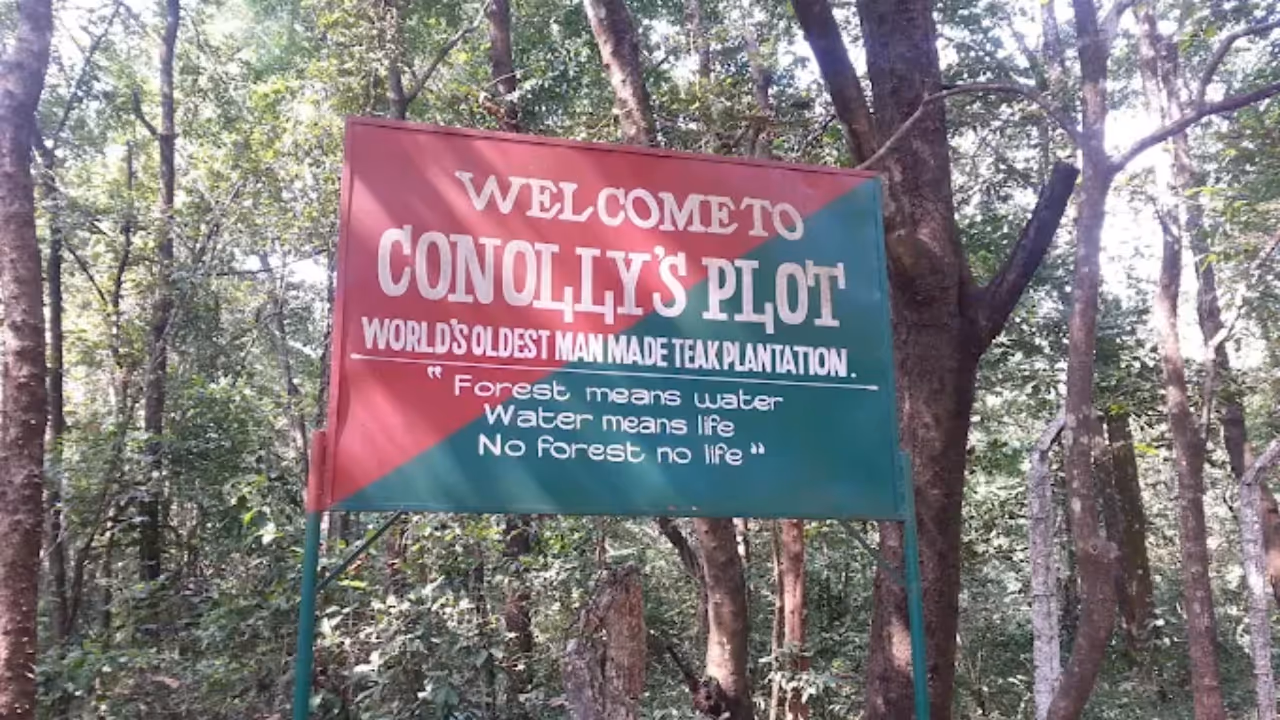 nilambur teak plantation nilambur teak plantation