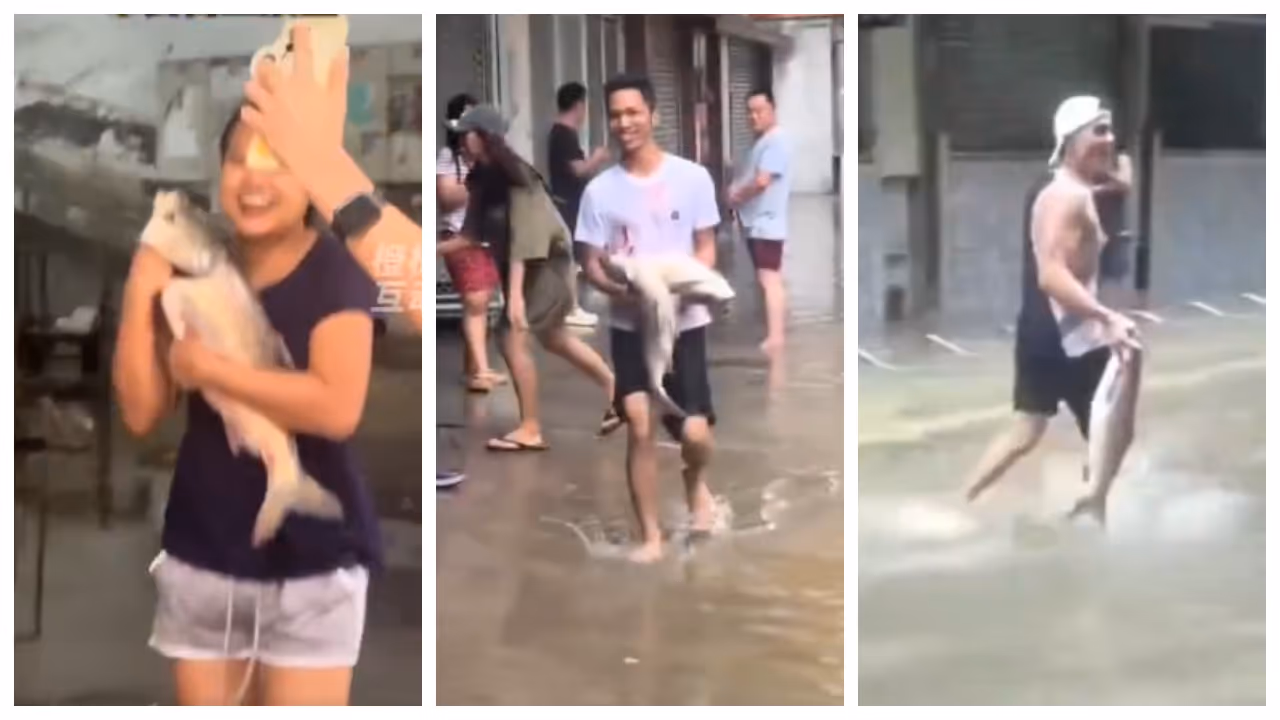 Fish In Flooded Roads in Macau street