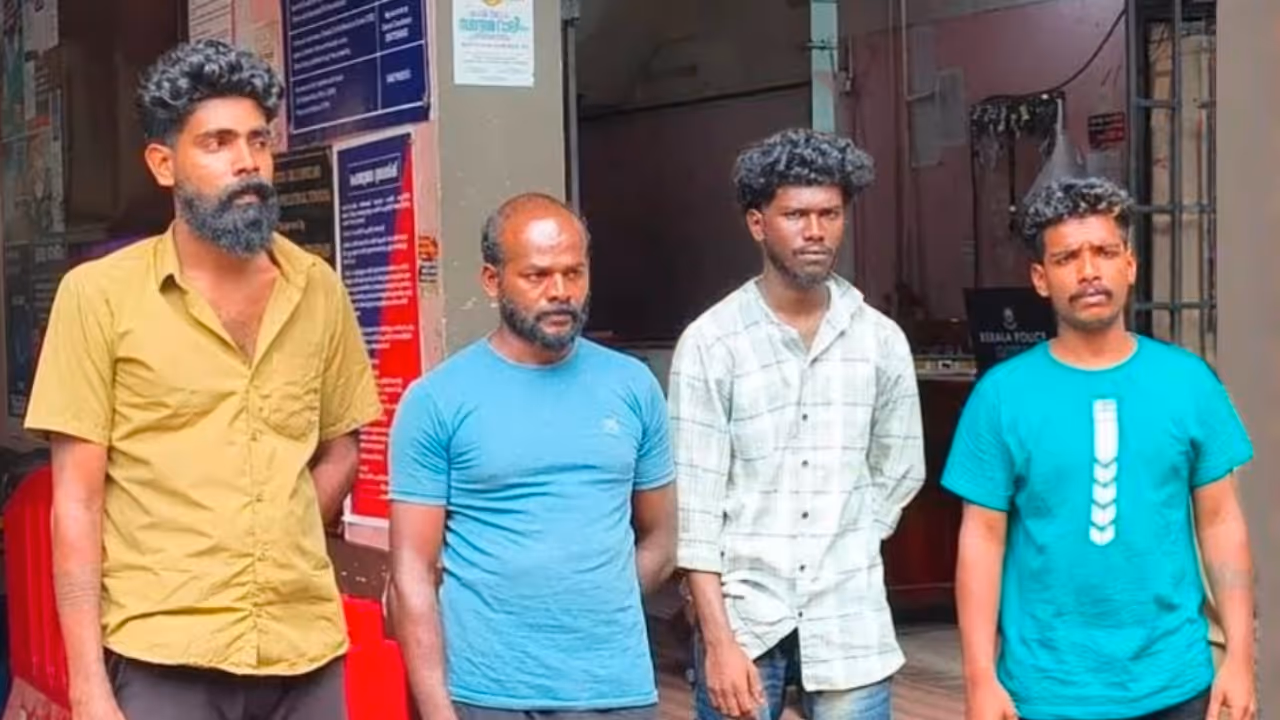 chilli powder attack