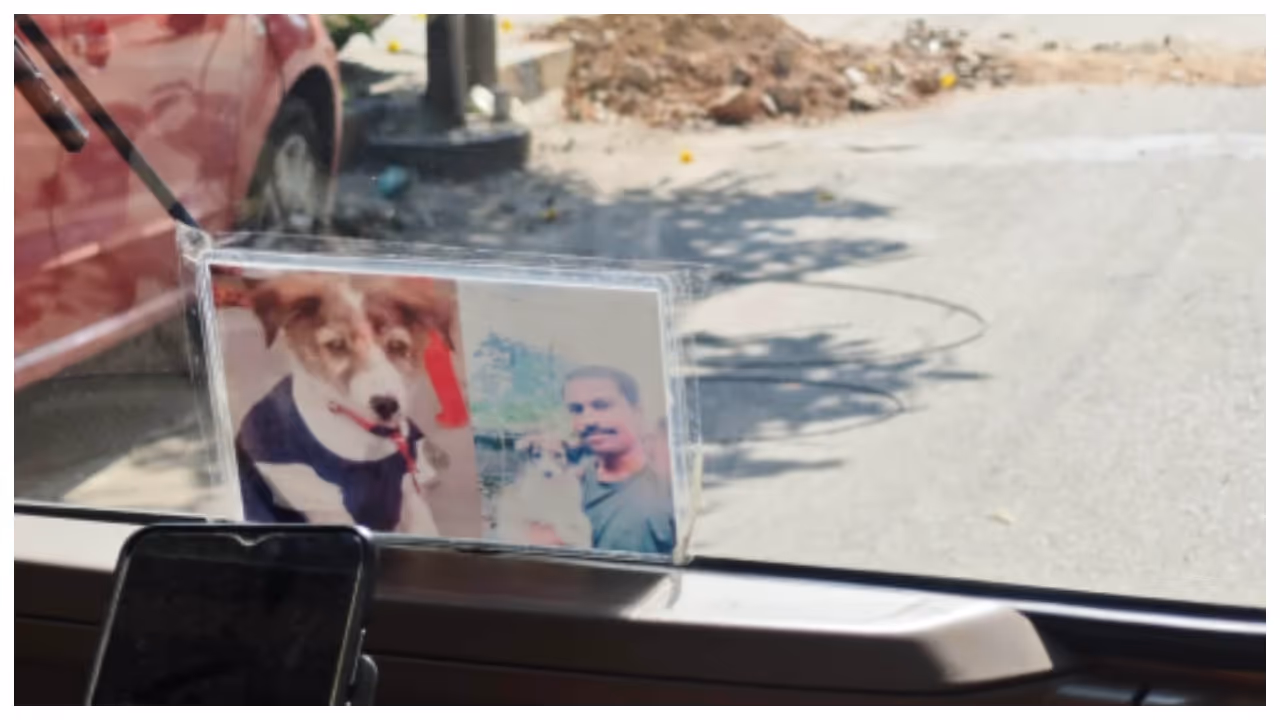 driver kept a picture of his deceased pet dog in auto