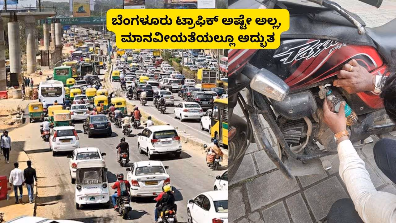 Bengaluru Techie share Rapido Driver Help