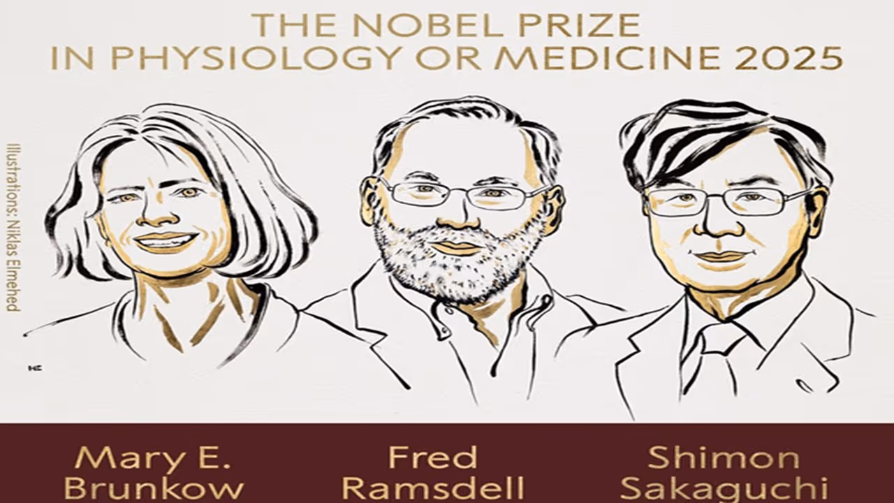 Mary Brunkow Fred Ramsdell Shimon Sakaguchi Mary Brunkow Fred Ramsdell Shimon Sakaguchi