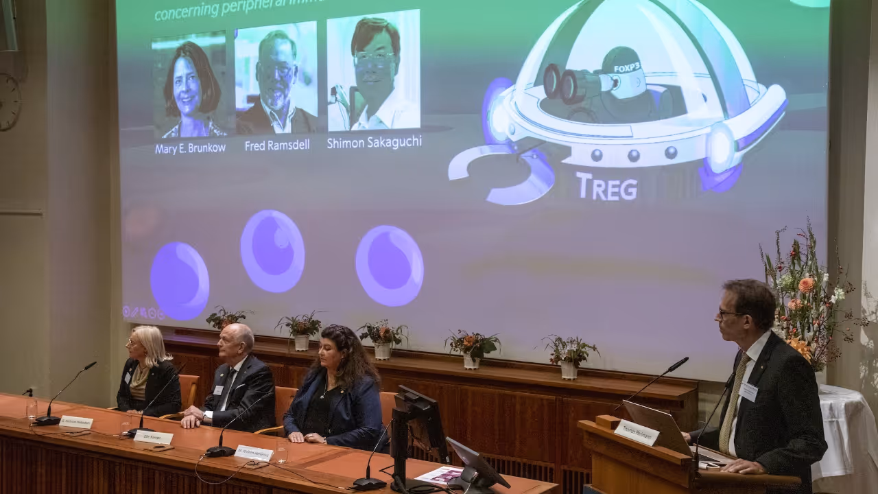 Nobel prize Regulatory T cells