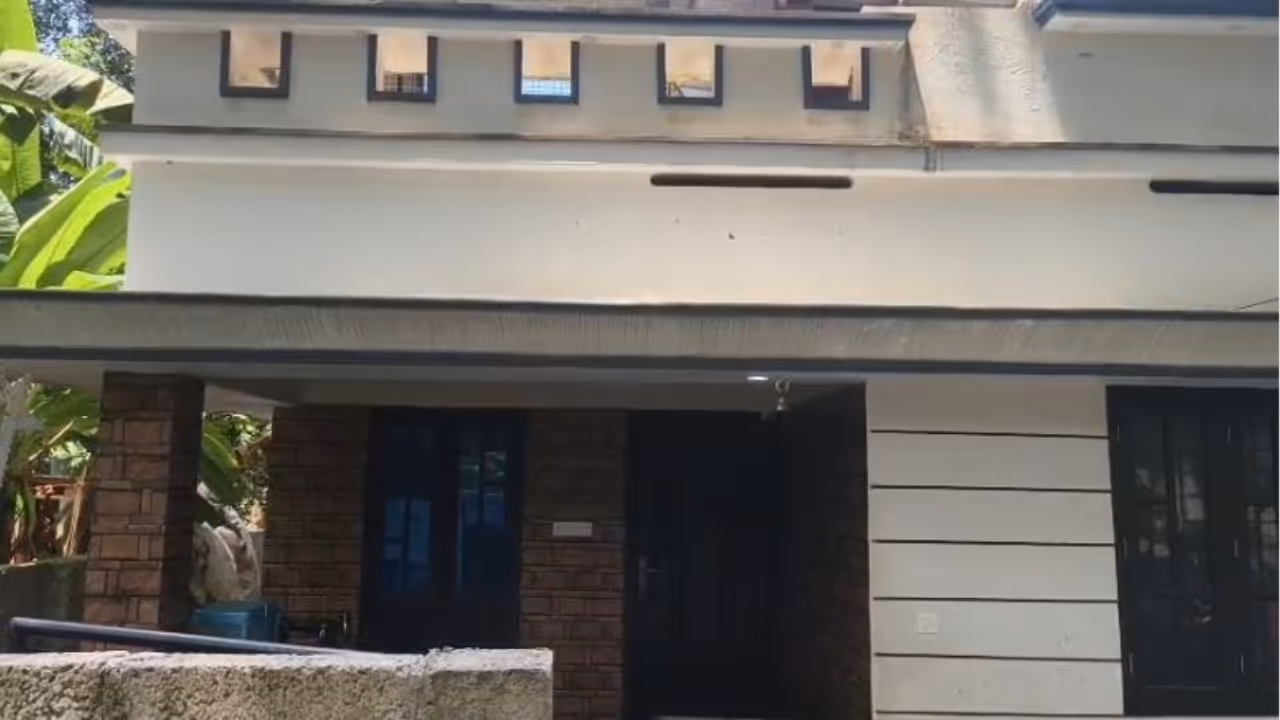 lady death lady death