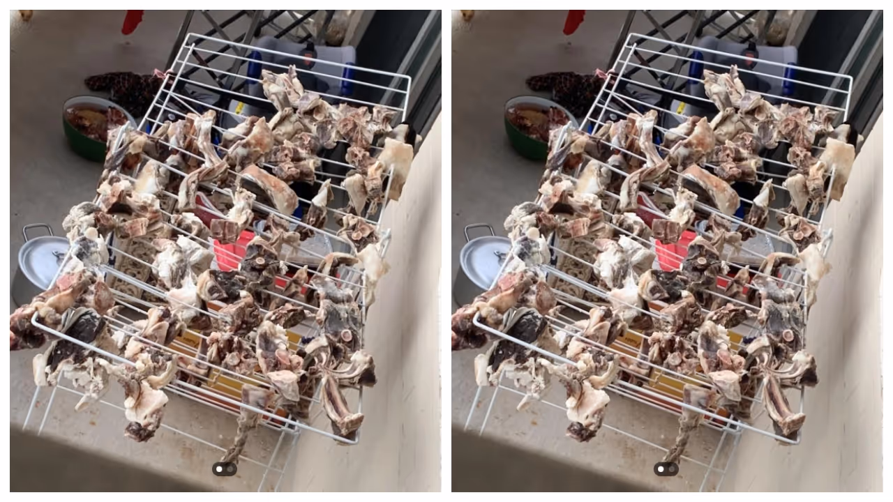 Raw meat was left to dry on the balcony