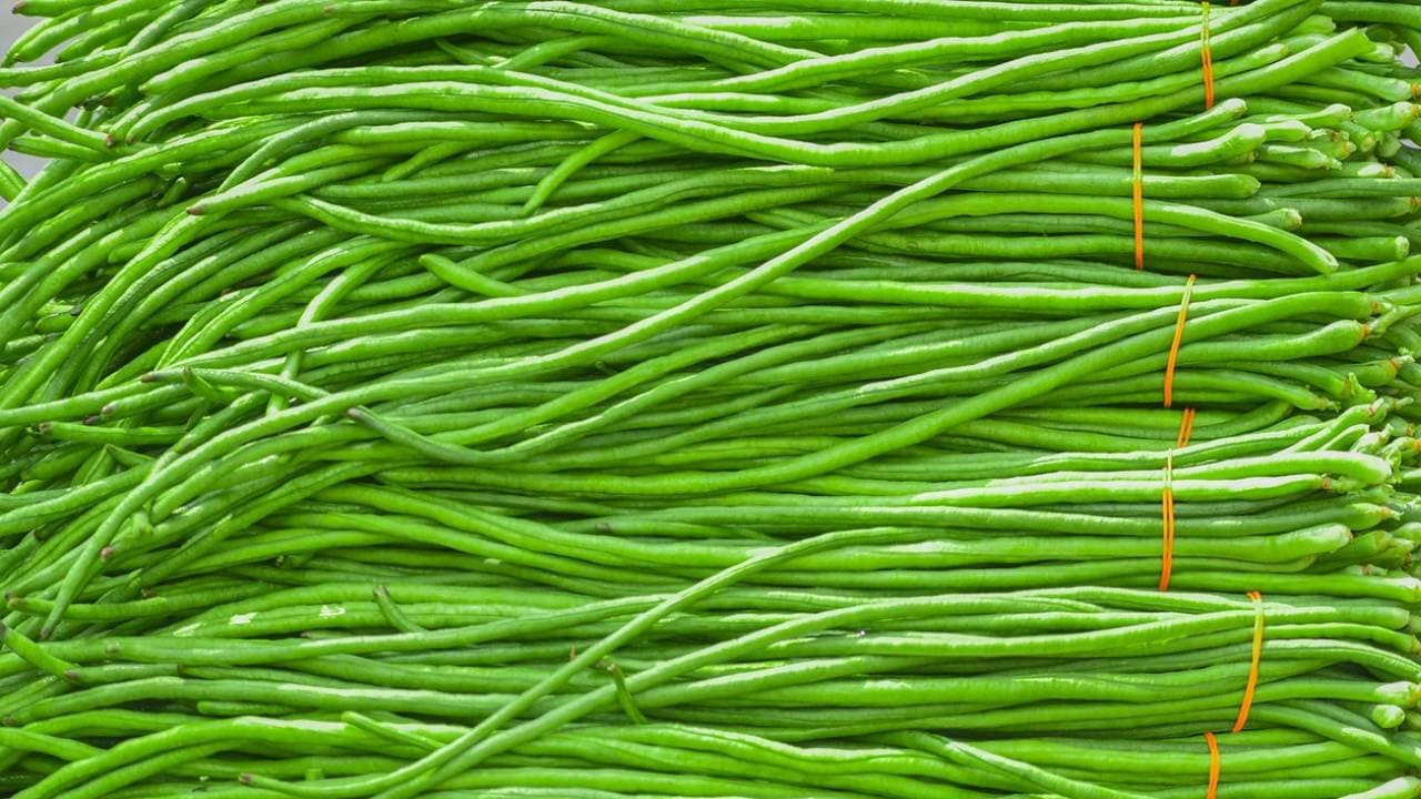 Yardlong bean