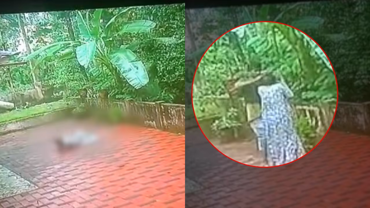 chain snatching chain snatching