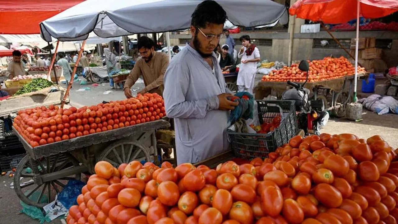 tomato price in pakistan