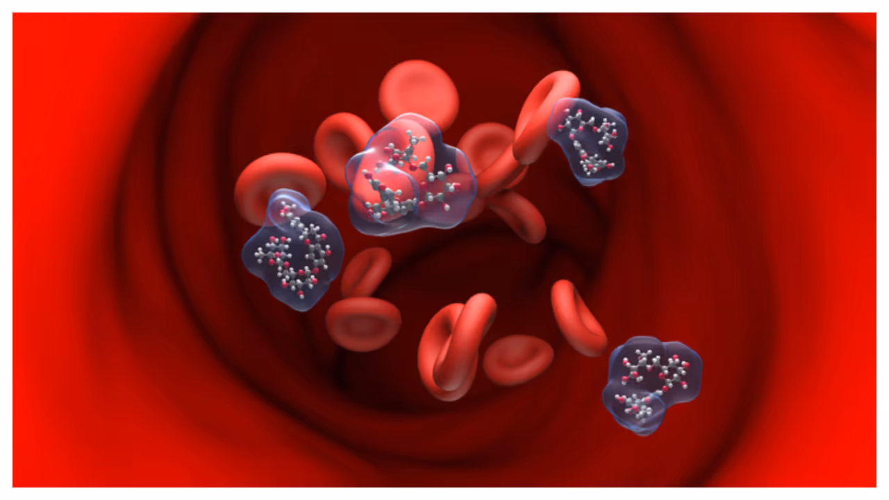 blood circulation blood circulation