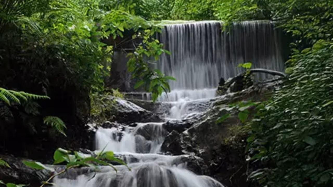 Chethalayam Waterfalls 