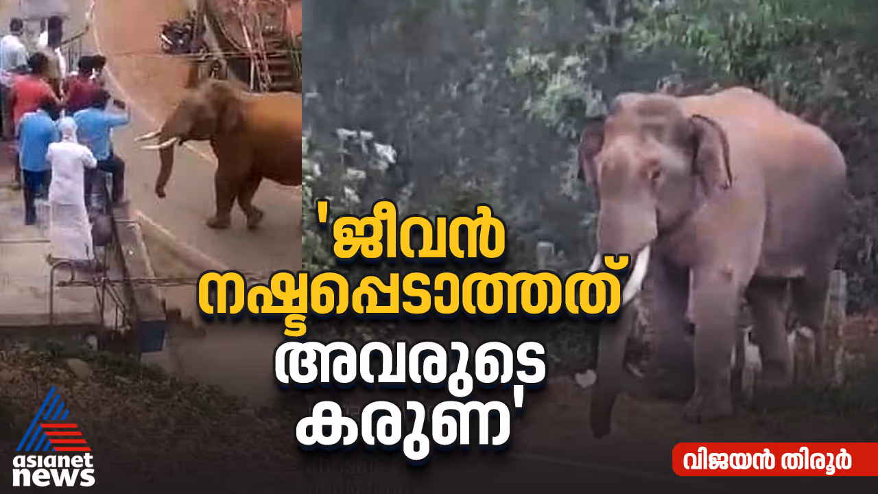 Wild animals in Nilgiri Wild animals in Nilgiri