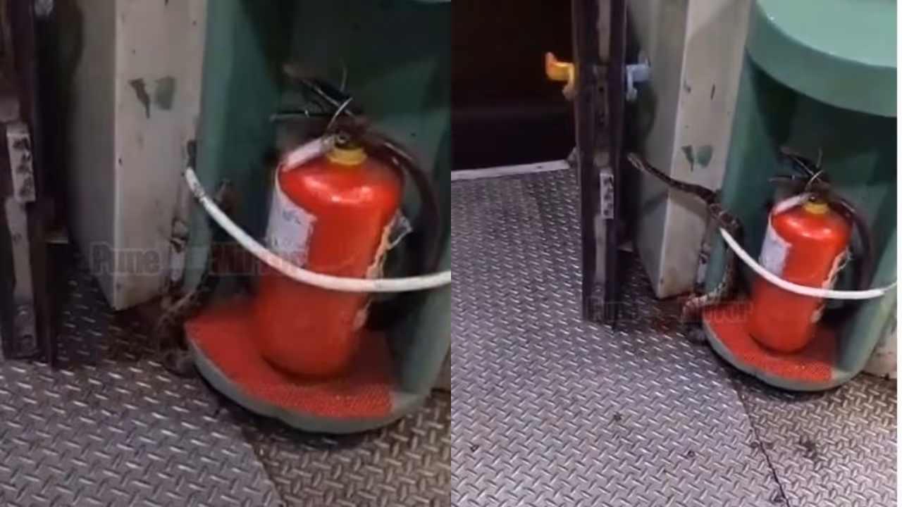 phython found phython found