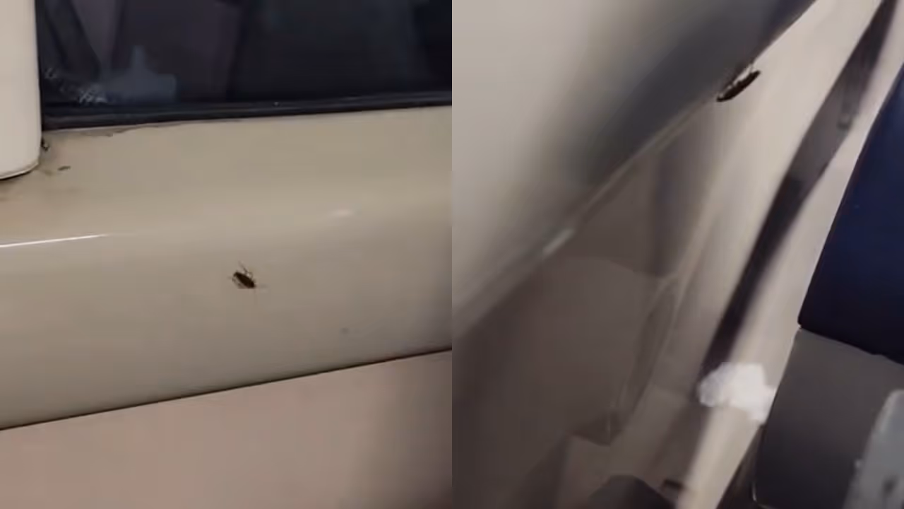 Passenger Spots Cockroaches on Vande Bharat Passenger Spots Cockroaches on Vande Bharat