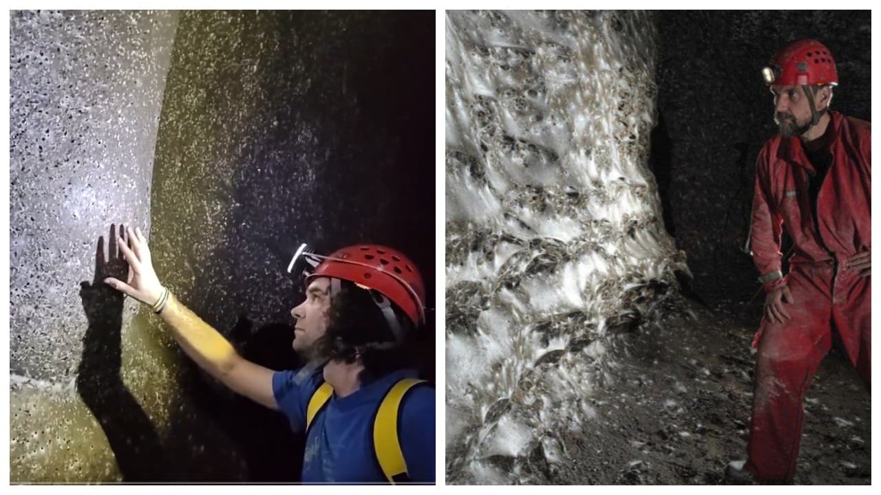 World's Largest Spiderweb Housing 