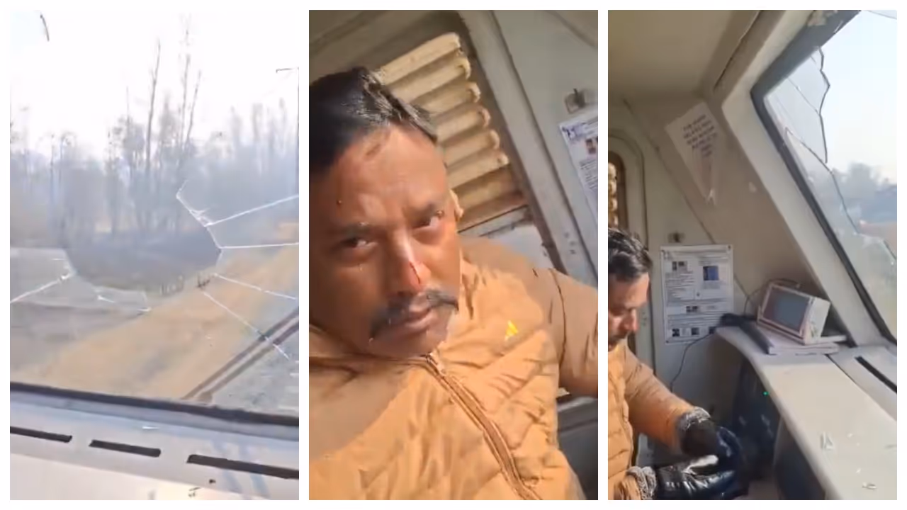 Eagle Crashes Into Windscreen Of Speeding Train In JK
