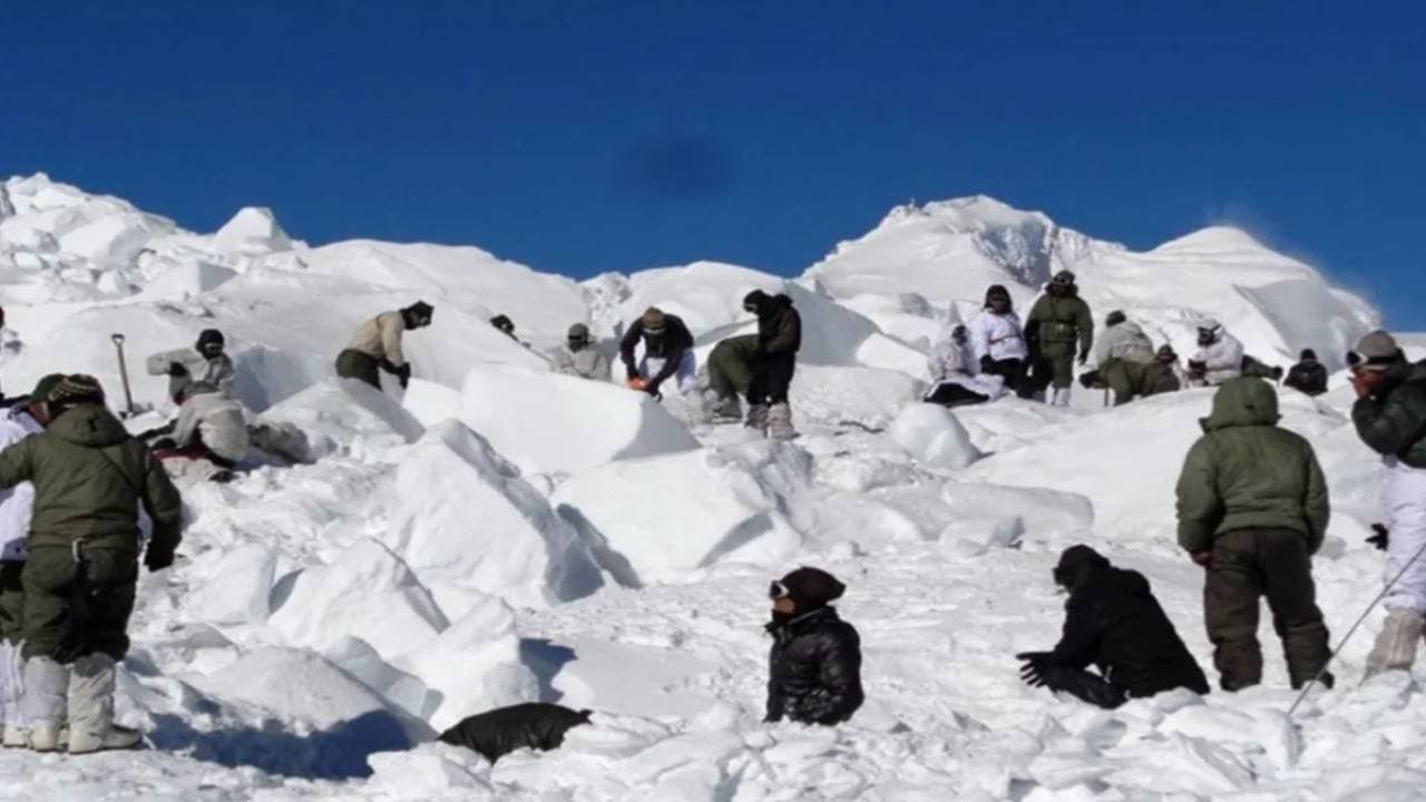 siachen soldiers survive