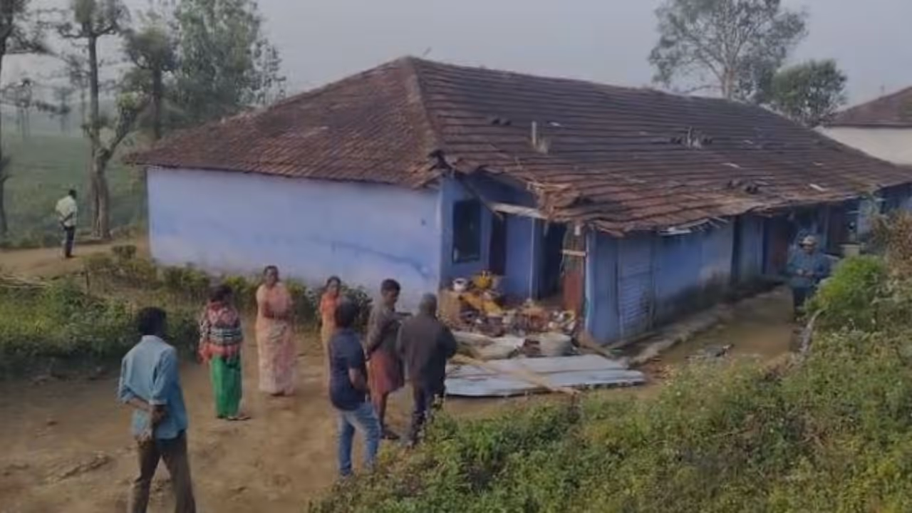 elephant attack elephant attack