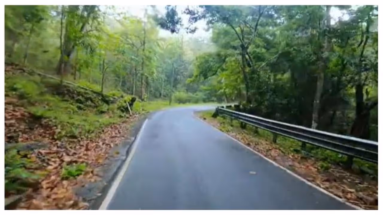 മലക്കപ്പാറ റോഡ് മലക്കപ്പാറ റോഡ്