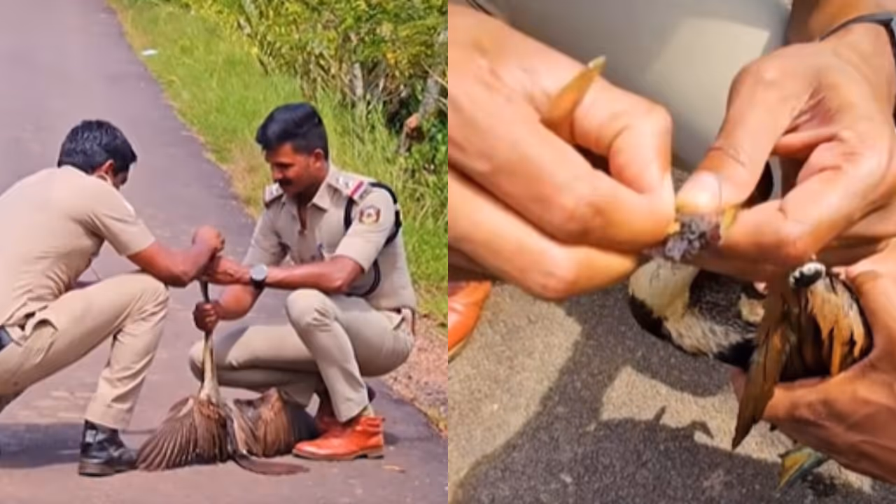 Kerala police Rescue