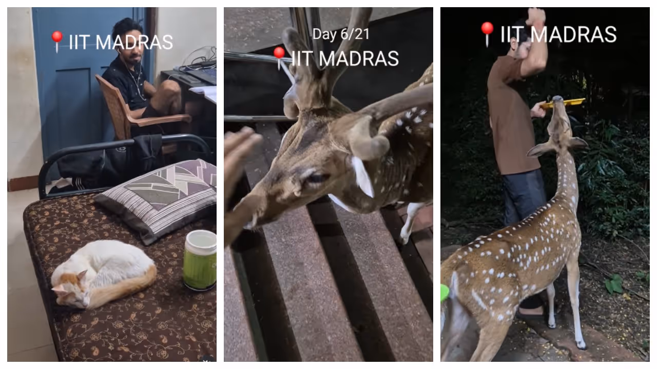 Wildlife at IIT Madras