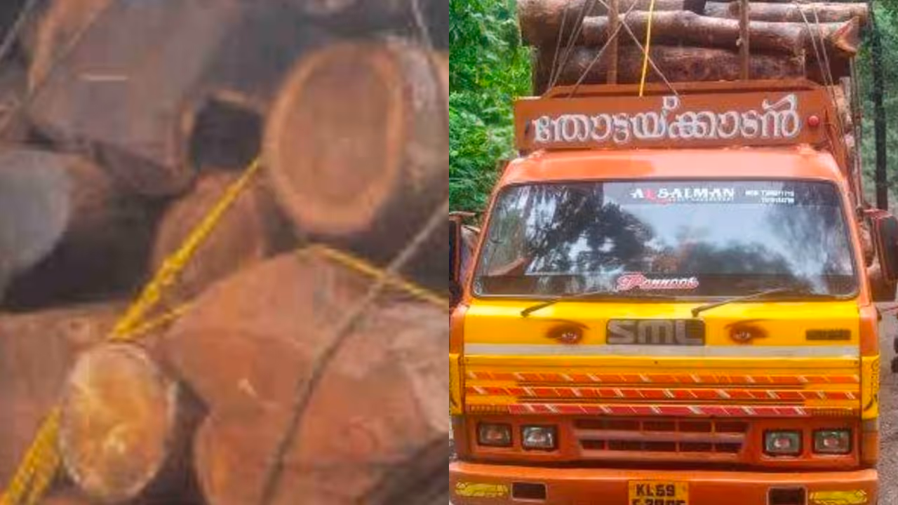 teak wood transport 