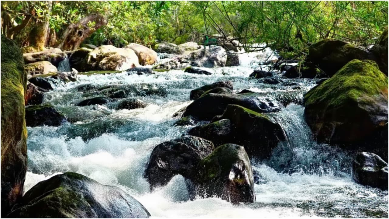 Meenvallam waterfall Meenvallam waterfall