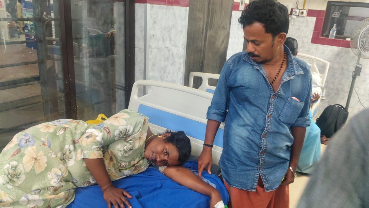 snake bite snake bite