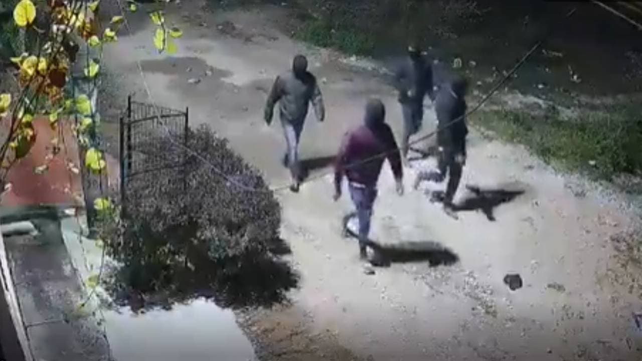  thief planning viral video