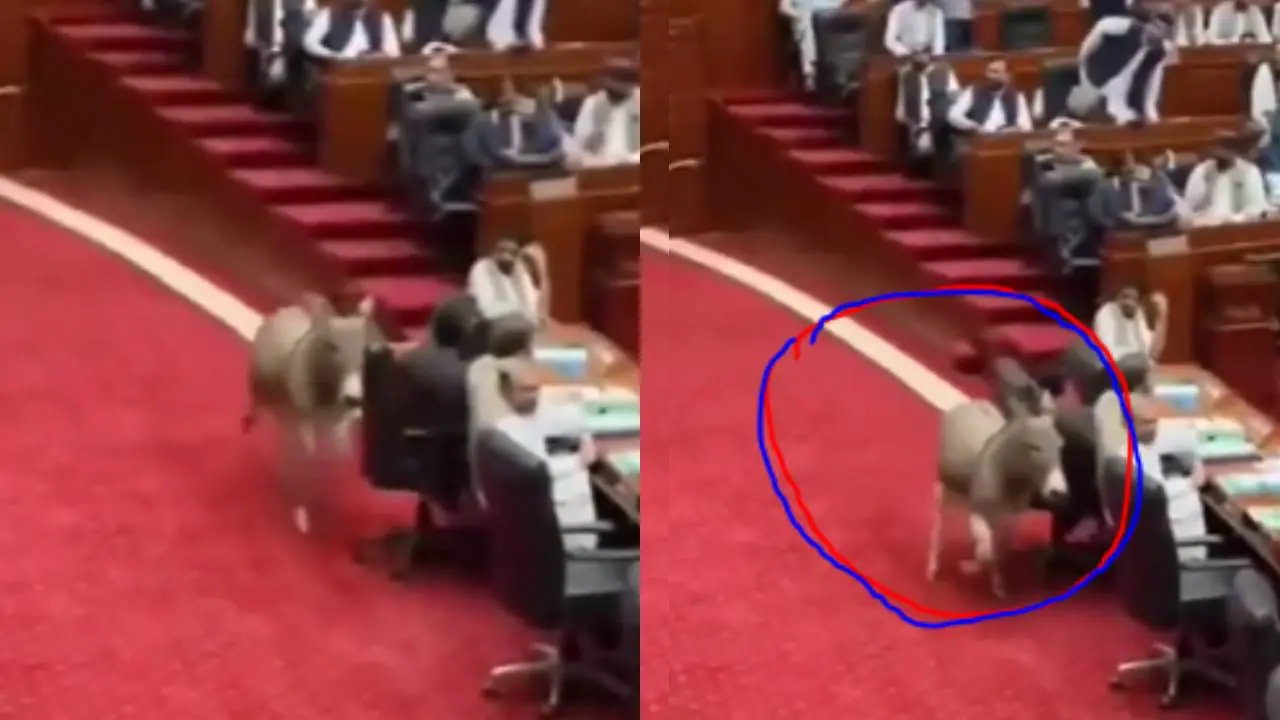 Pakistan's parliament