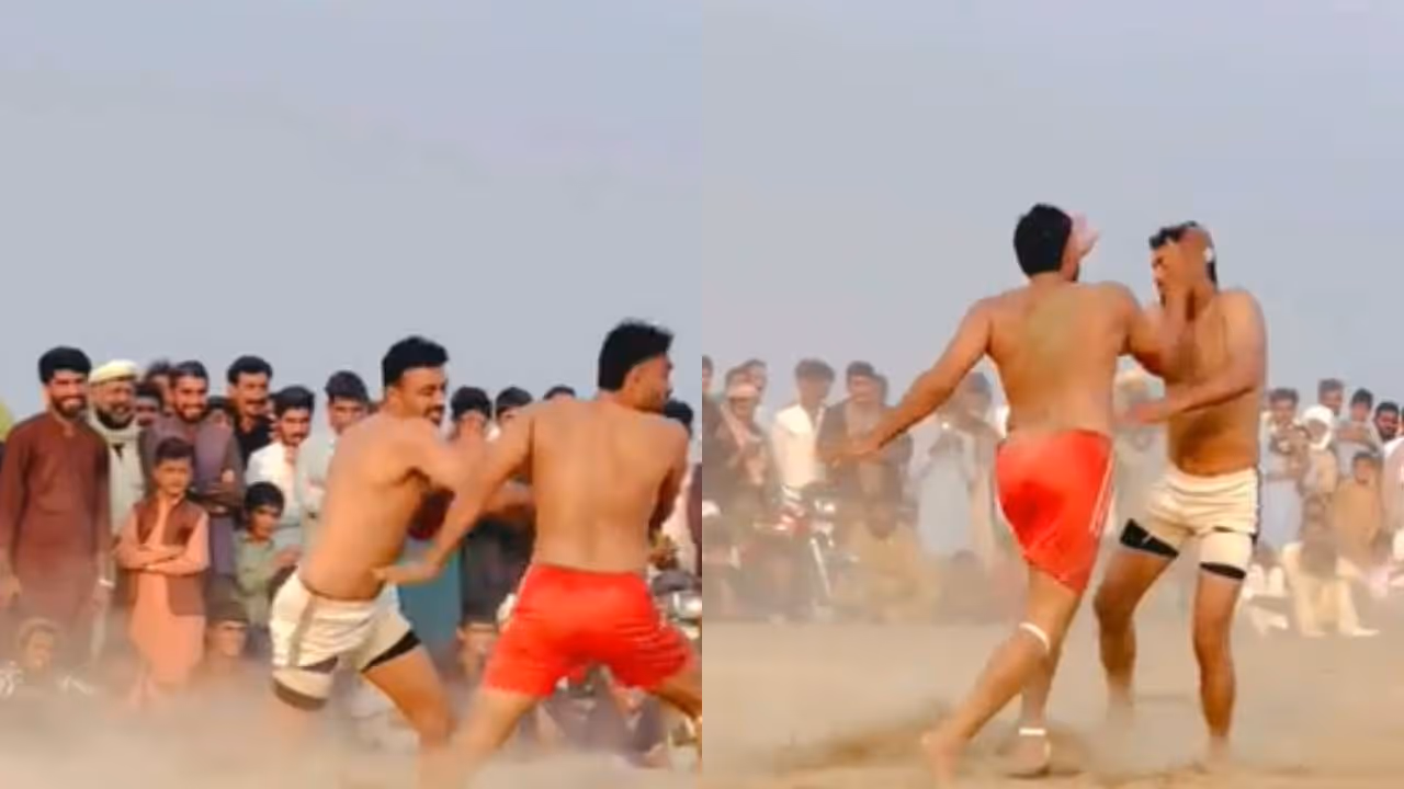 wrestling fight viral video wrestling fight viral video