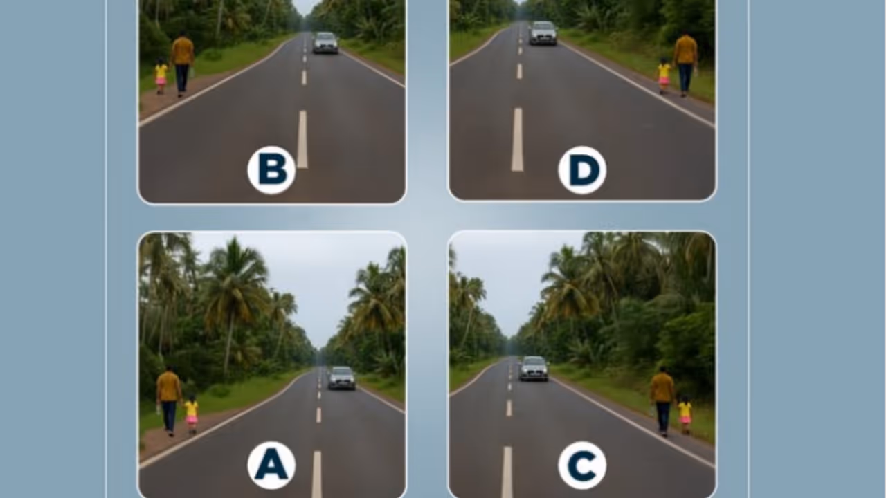 walking along the road with a child walking along the road with a child