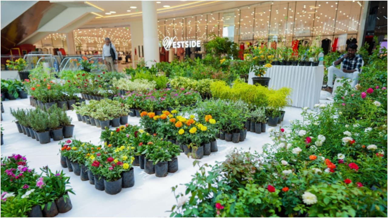 Flower show Flower show